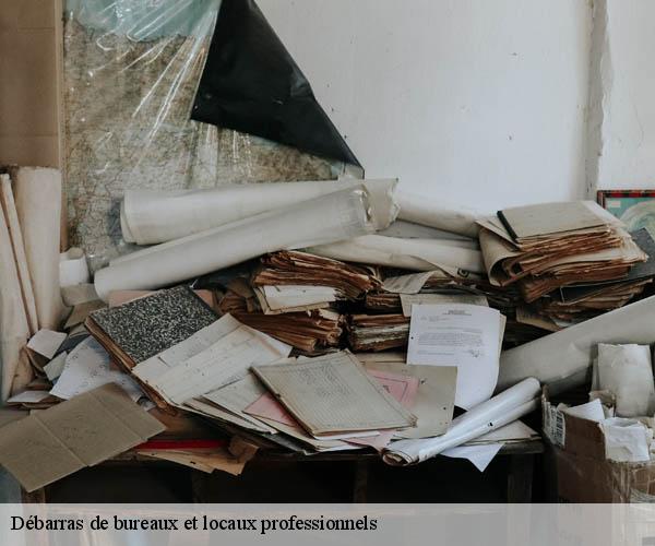 Débarras de bureaux et locaux professionnels   villeneuve-sur-yonne-89500 Franck débarras