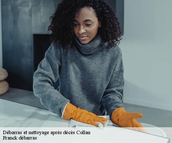 Débarras et nettoyage après décès  collan-89700 Franck débarras