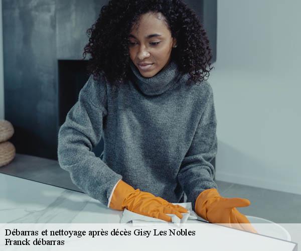 Débarras et nettoyage après décès  gisy-les-nobles-89140 Franck débarras
