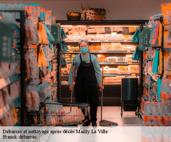 Débarras et nettoyage après décès  mailly-la-ville-89270 Franck débarras