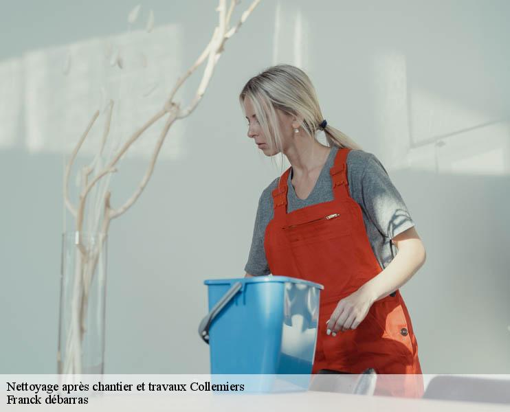 Nettoyage après chantier et travaux  collemiers-89100 Franck débarras