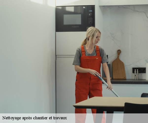 Nettoyage après chantier et travaux  trevilly-89420 Franck débarras