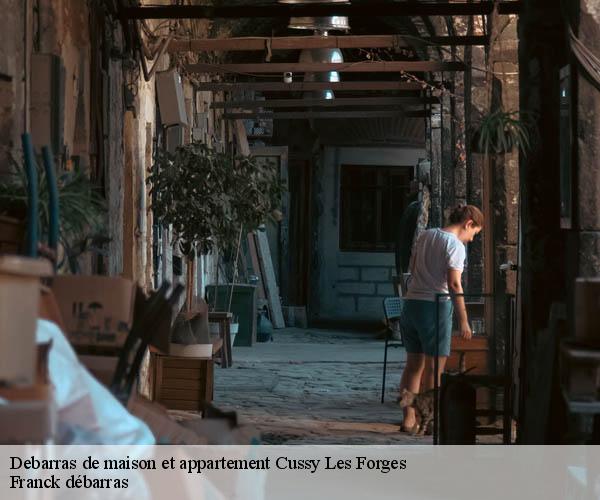 Debarras de maison et appartement  cussy-les-forges-89420 Franck débarras