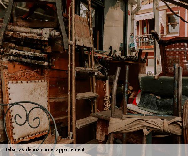 Debarras de maison et appartement  druyes-les-belles-fontain-89560 Franck débarras