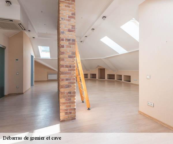 Débarras de grenier et cave  perrigny-sur-armancon-89390 Franck débarras